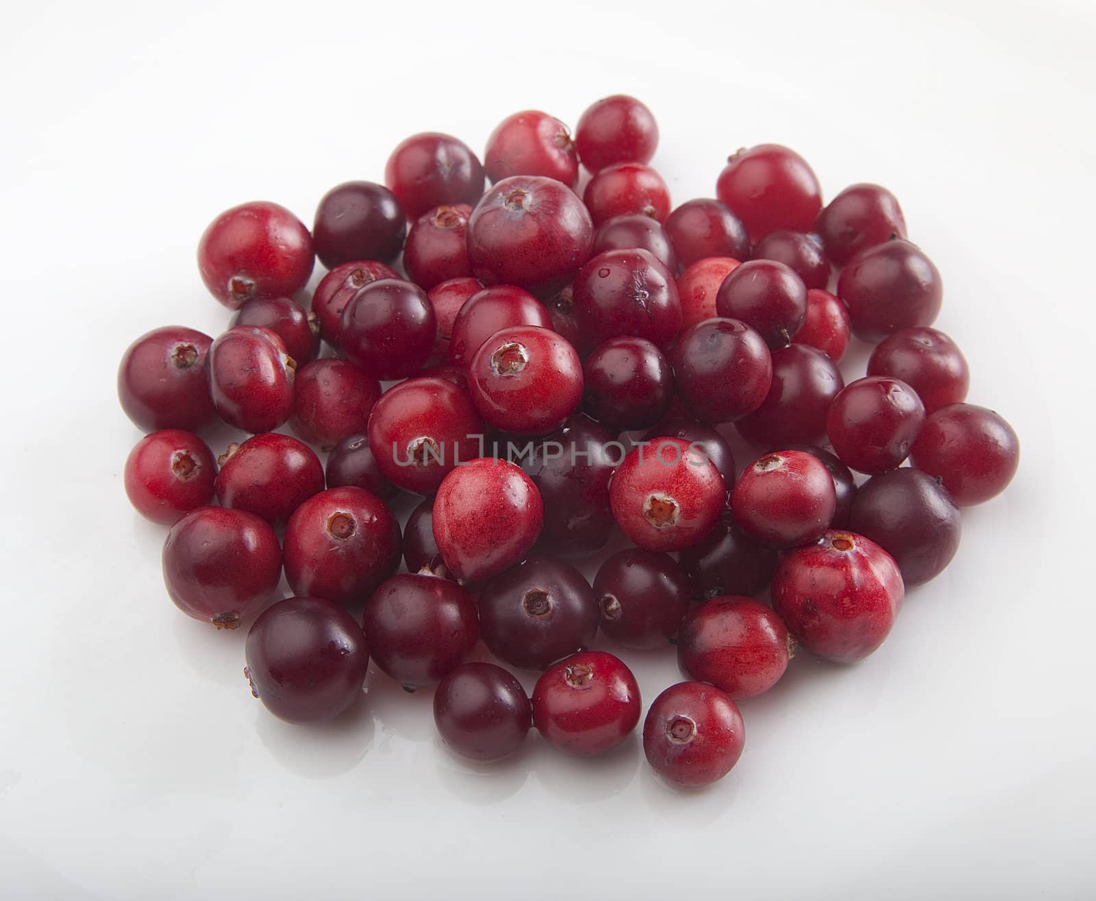 Hanful of red cranberries on the white