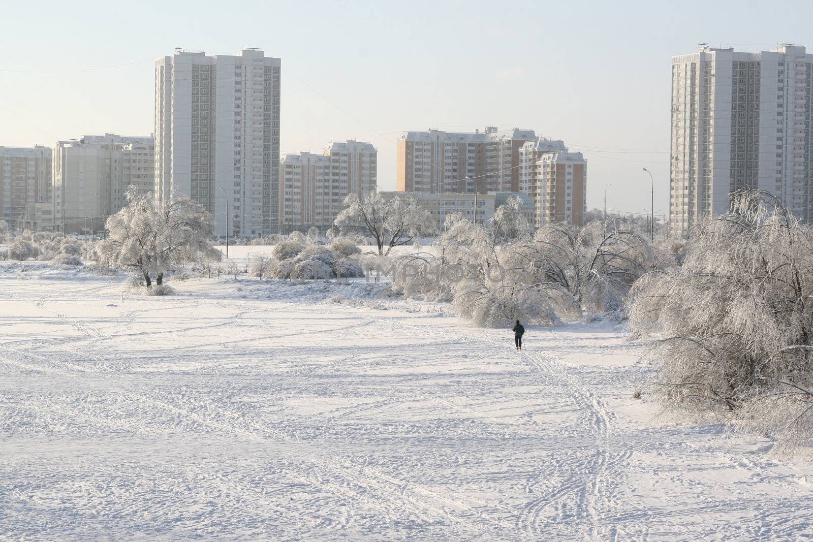 Snowy white winters day in the city