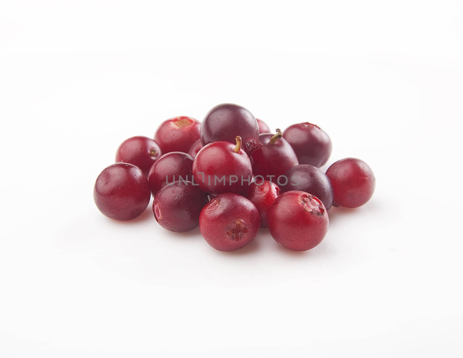 Handful of red cowberries on the white