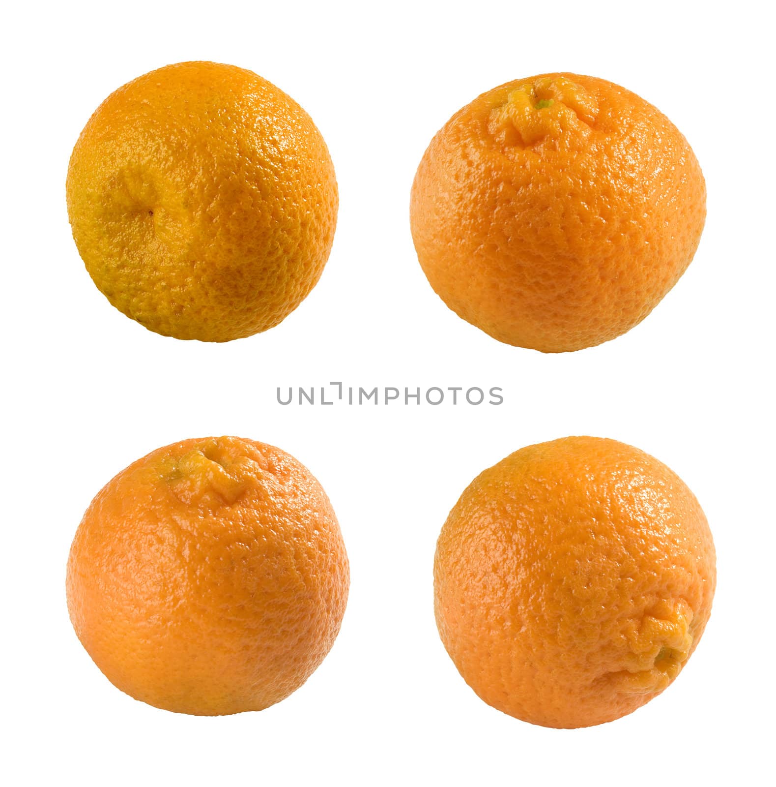 Some isolated orange tangeries on the white background
