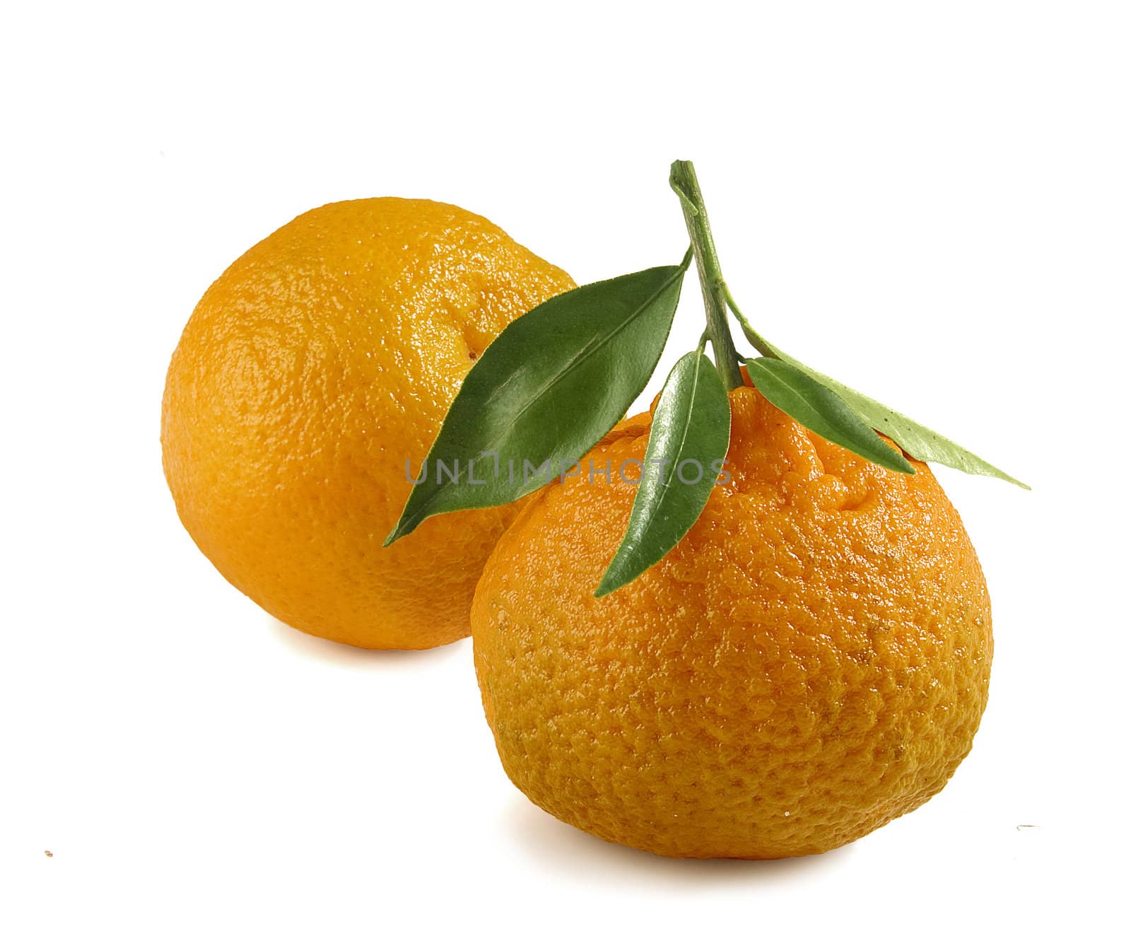 Two tangerines with green leaf on the white background