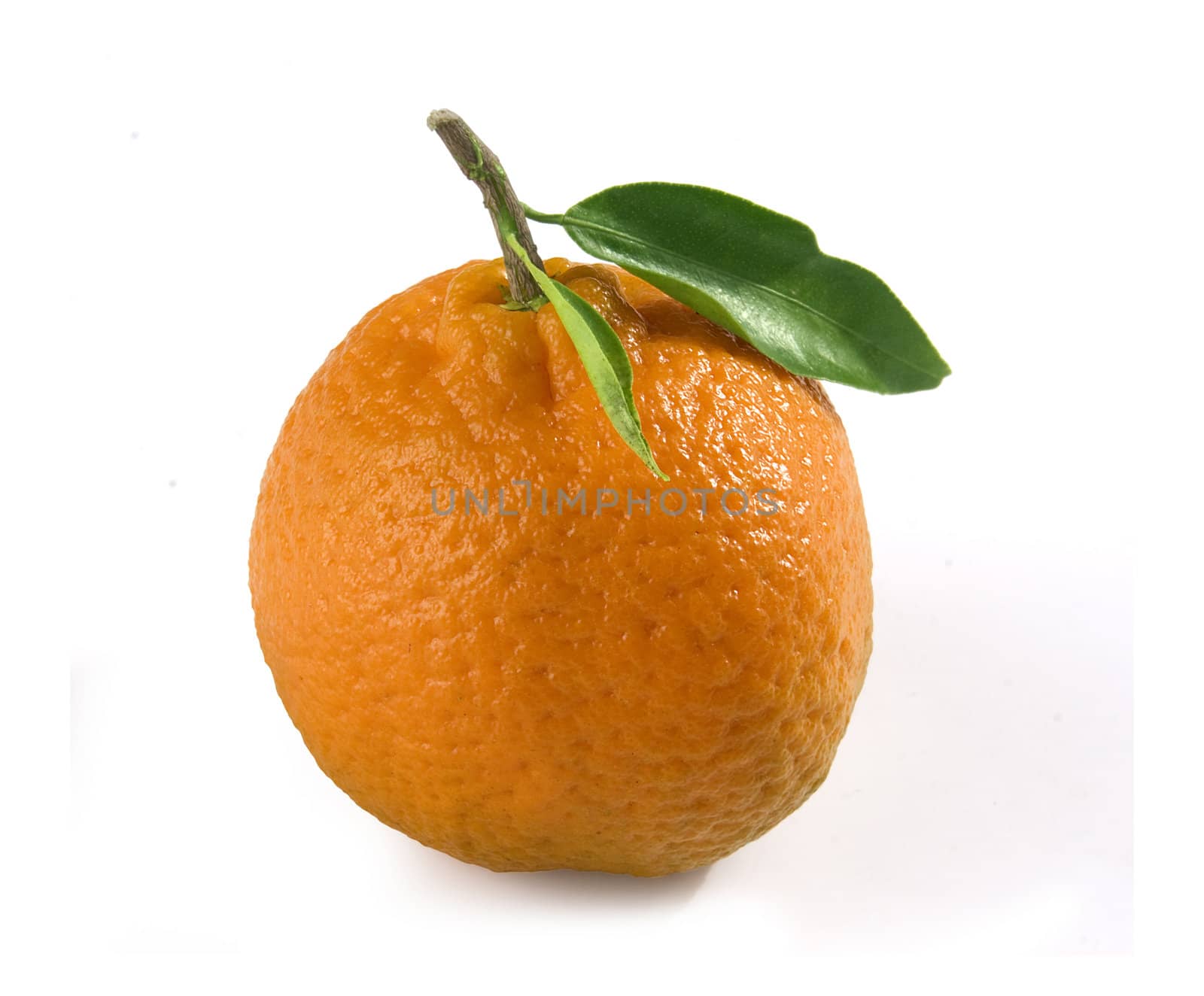 One tangerine with green leaf on the white background