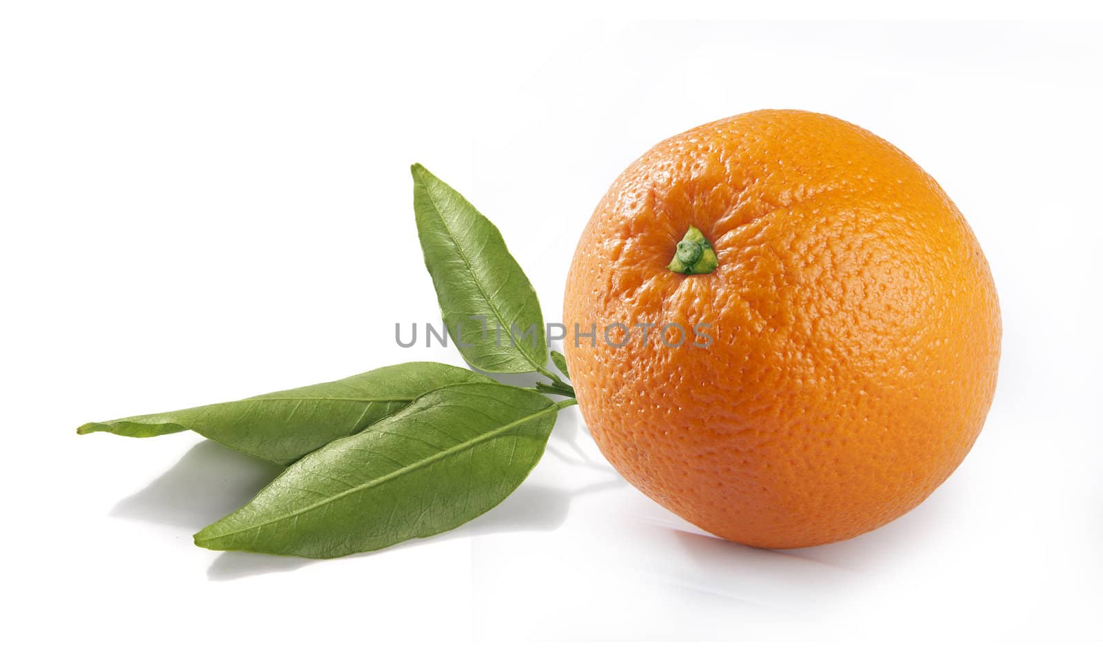 Whole orange with green leaves on the white