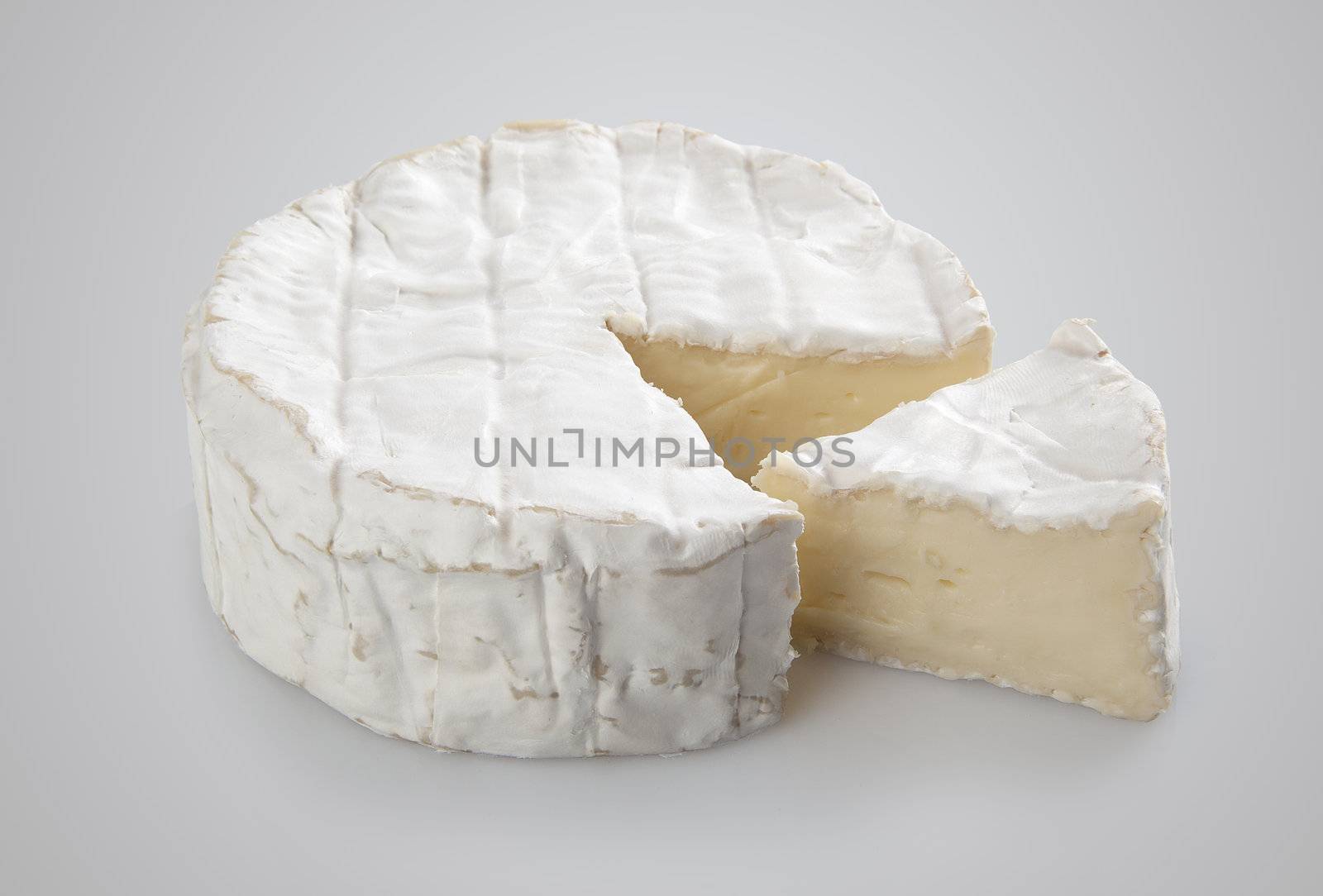 Isolated camembert cheese on the gray background