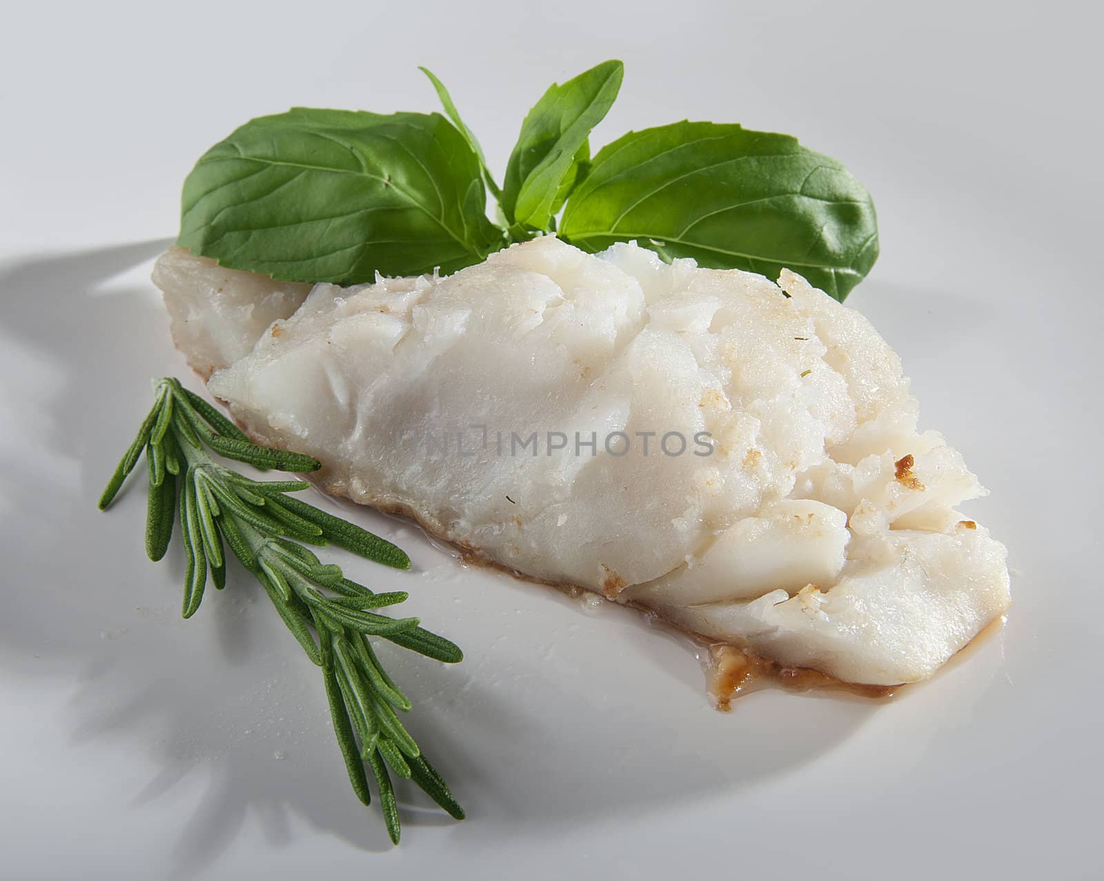 Fried cod with basil and rosemary on the gray