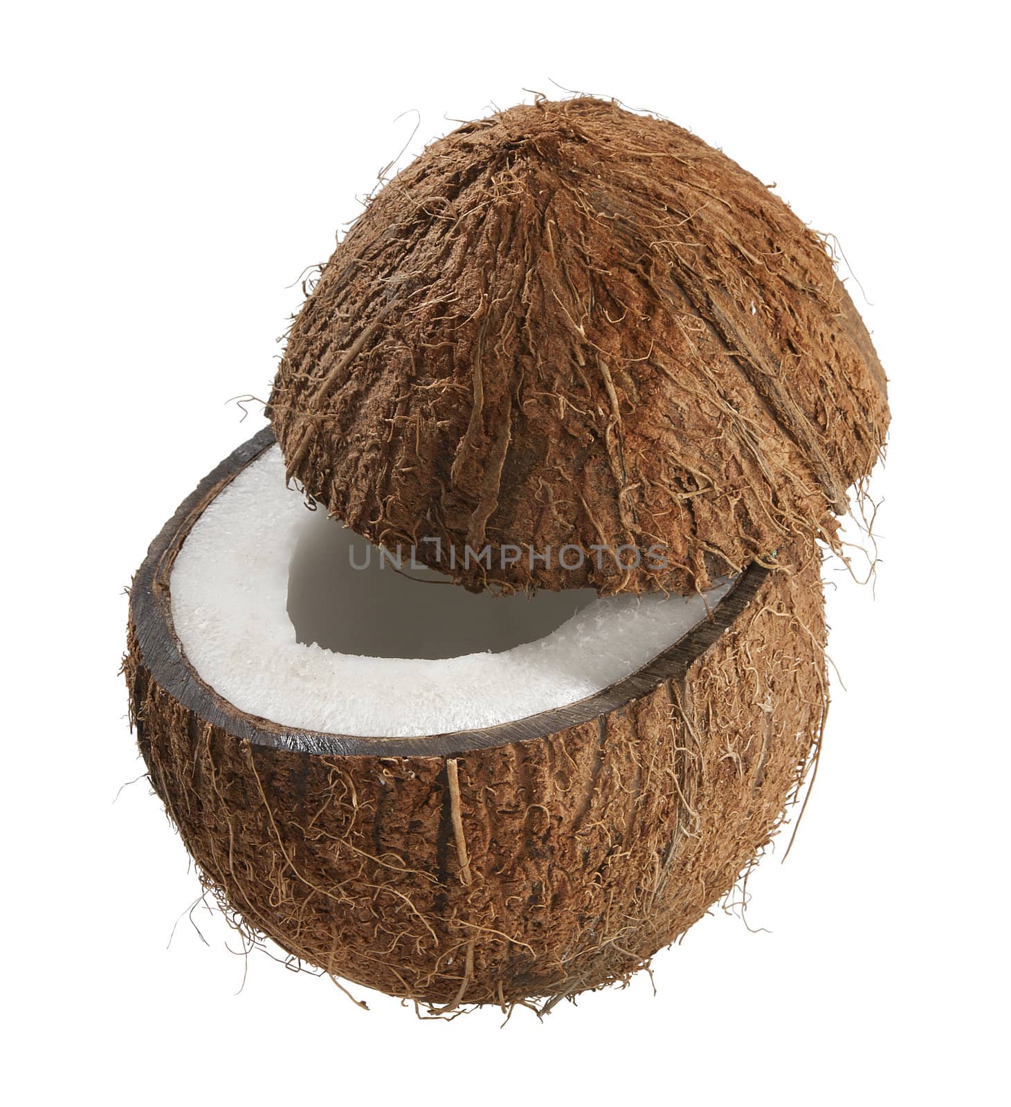 Coconut by Angorius