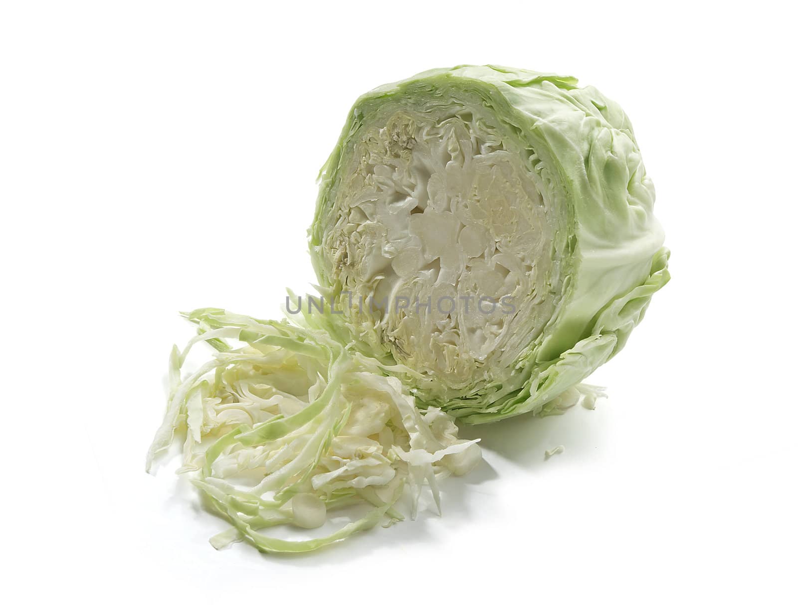 Cabbage by Angorius