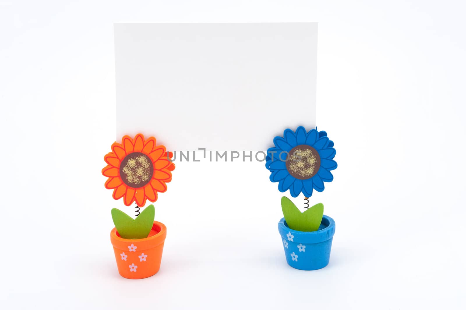 Blank white paper on clips of two sun flower pots