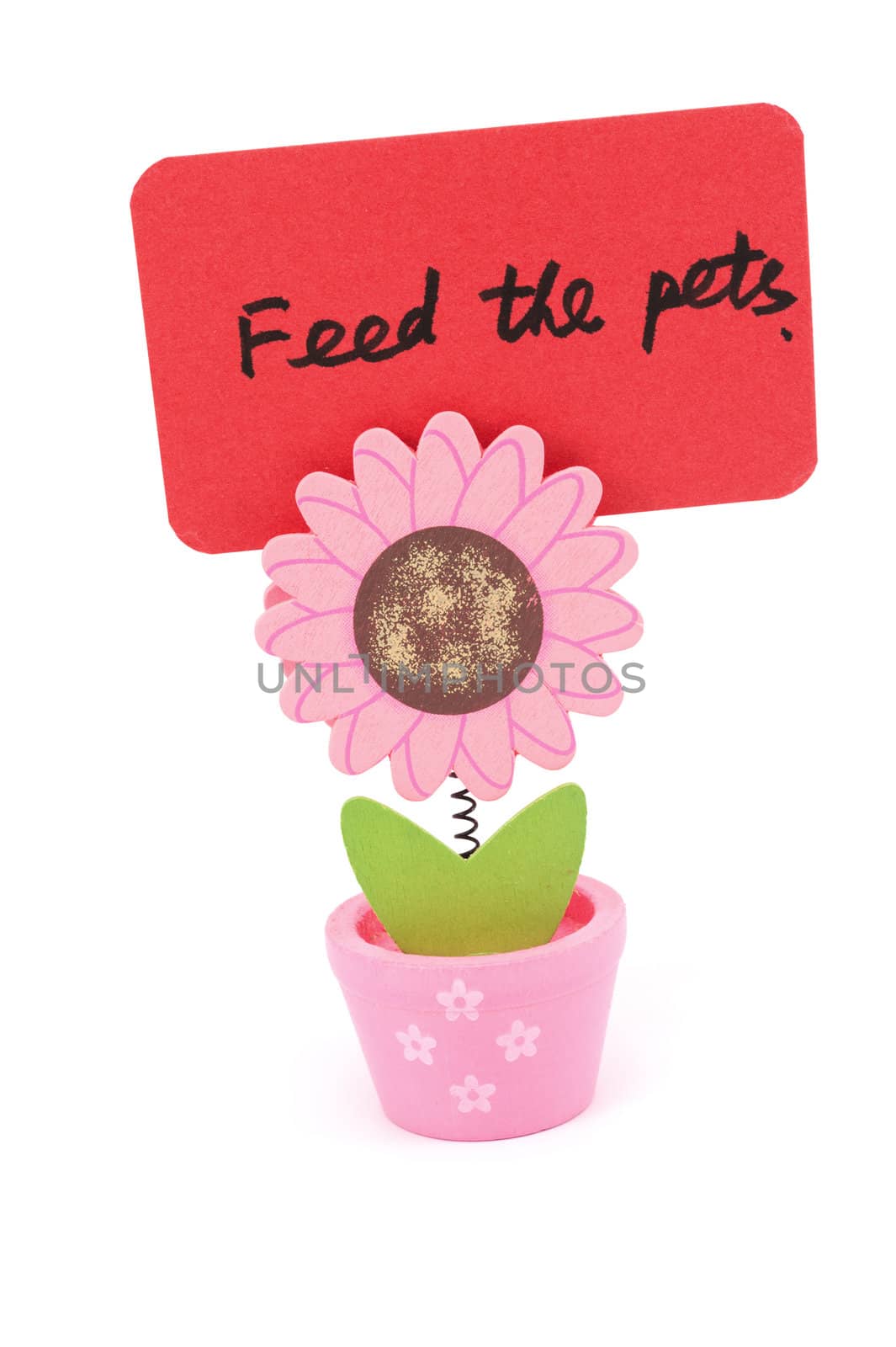 Feed the pets words written on red paper of sun flower pot clip