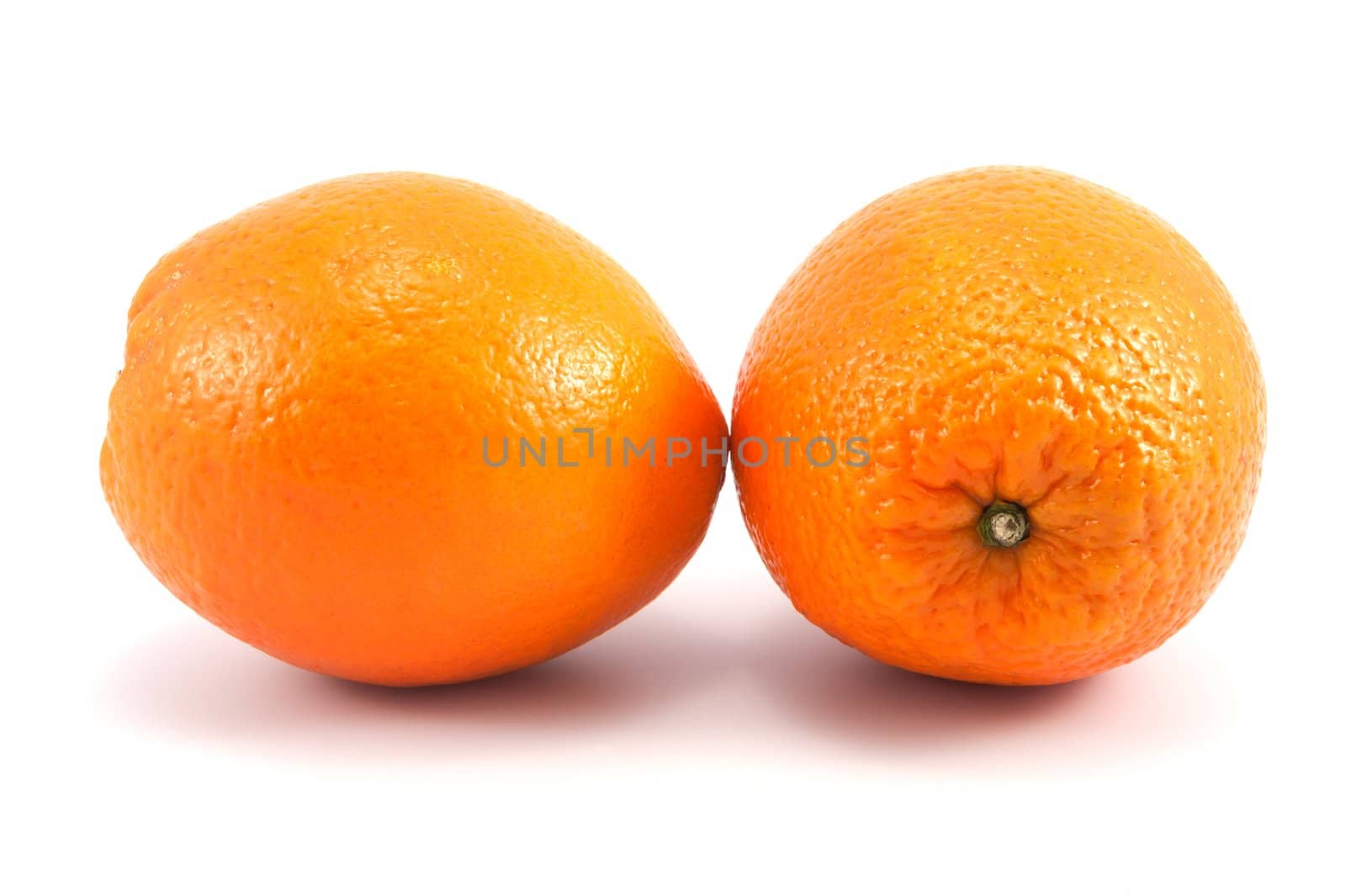 Two oranges fruit on white background