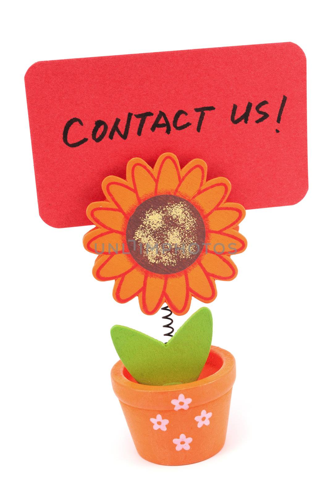 Contact us words written on red paper of sun flower pot clip