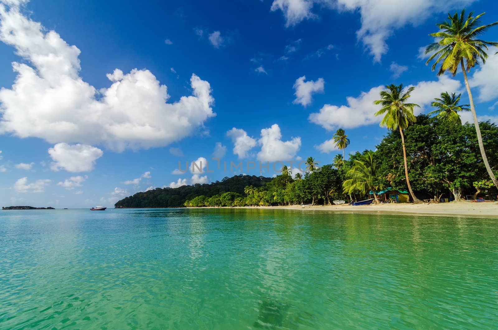 View of tropical palm tree lined coast in Caribbean island