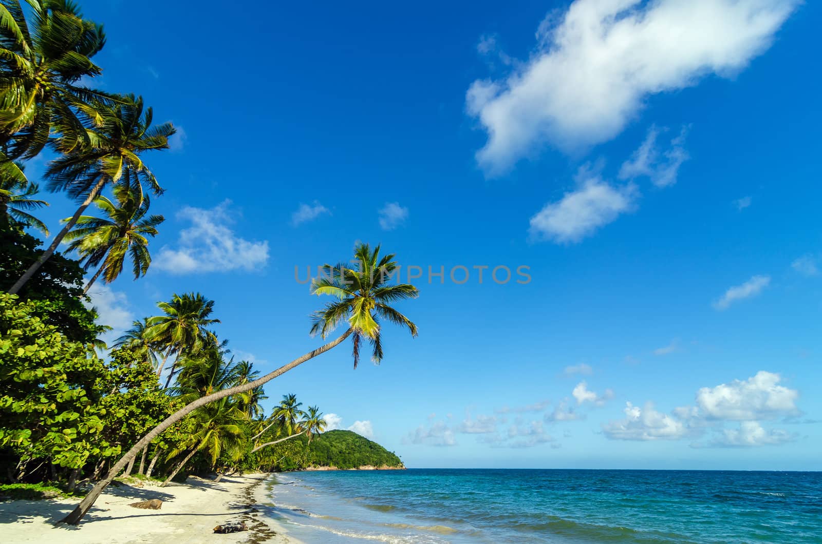Deserted white sand beach in Caribbean Sea in San Andres y Providencia, Colombia
