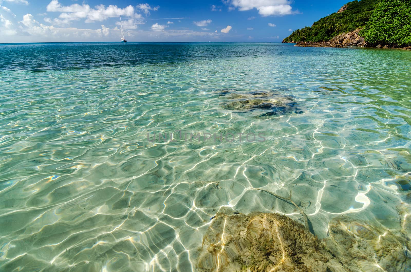 Sun reflectiing in crystal clear water in San Andres y Providencia, Colombia