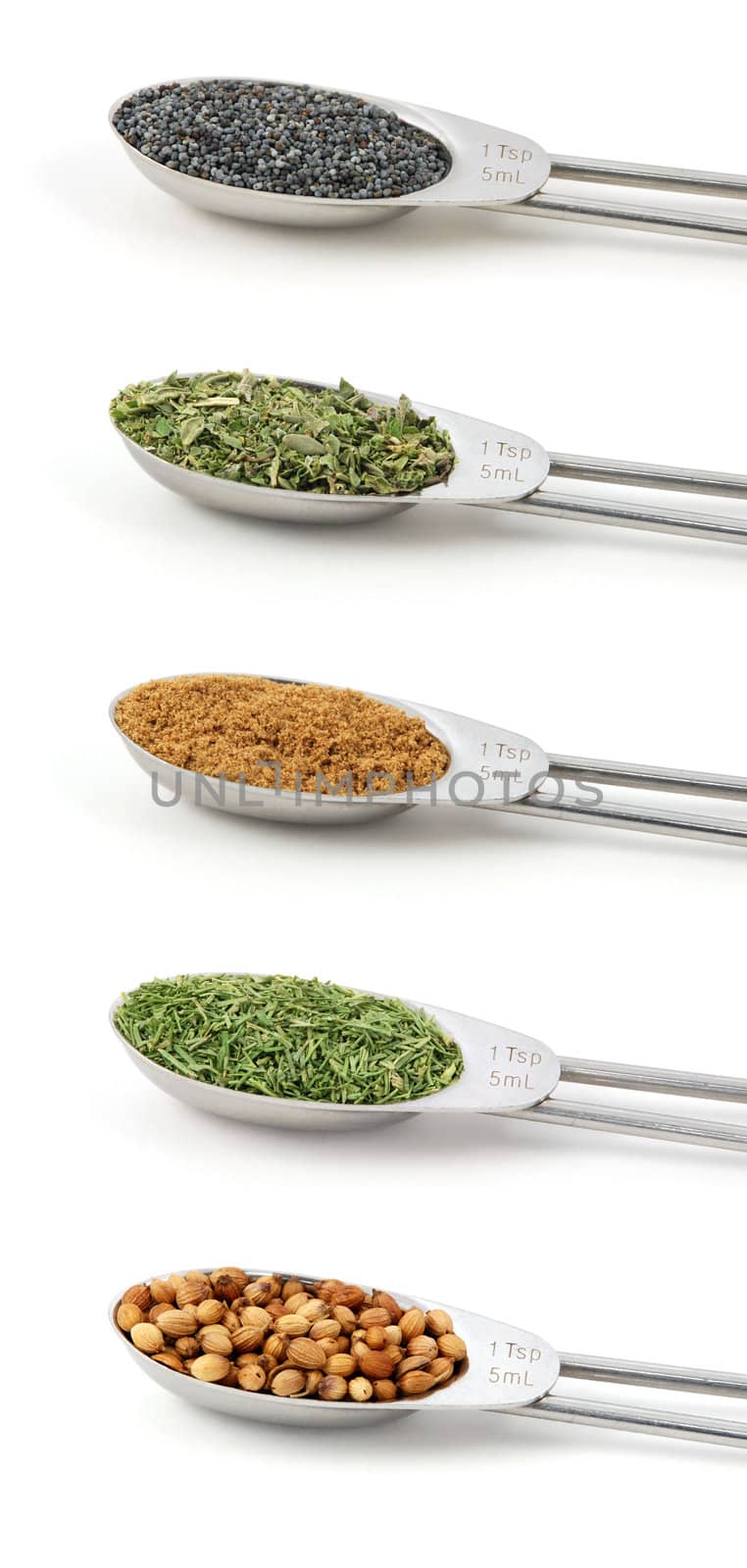 Herbs measured in metal teaspoons, isolated on a white background: Poppy seeds, dried mixed herbs, ground coriander / cilantro, dill tops, whole coriander / cilantro seeds.