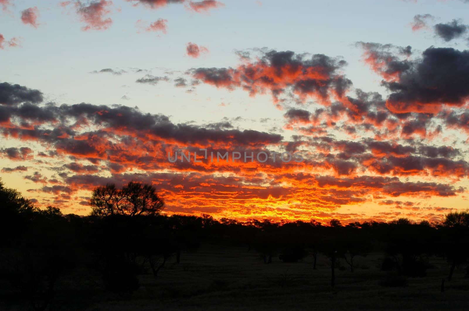 sunset in the Australian bush