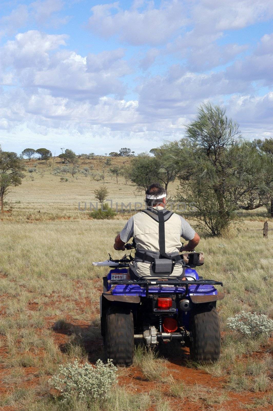 Gold bearing prospection in the Australian bush by gillespaire