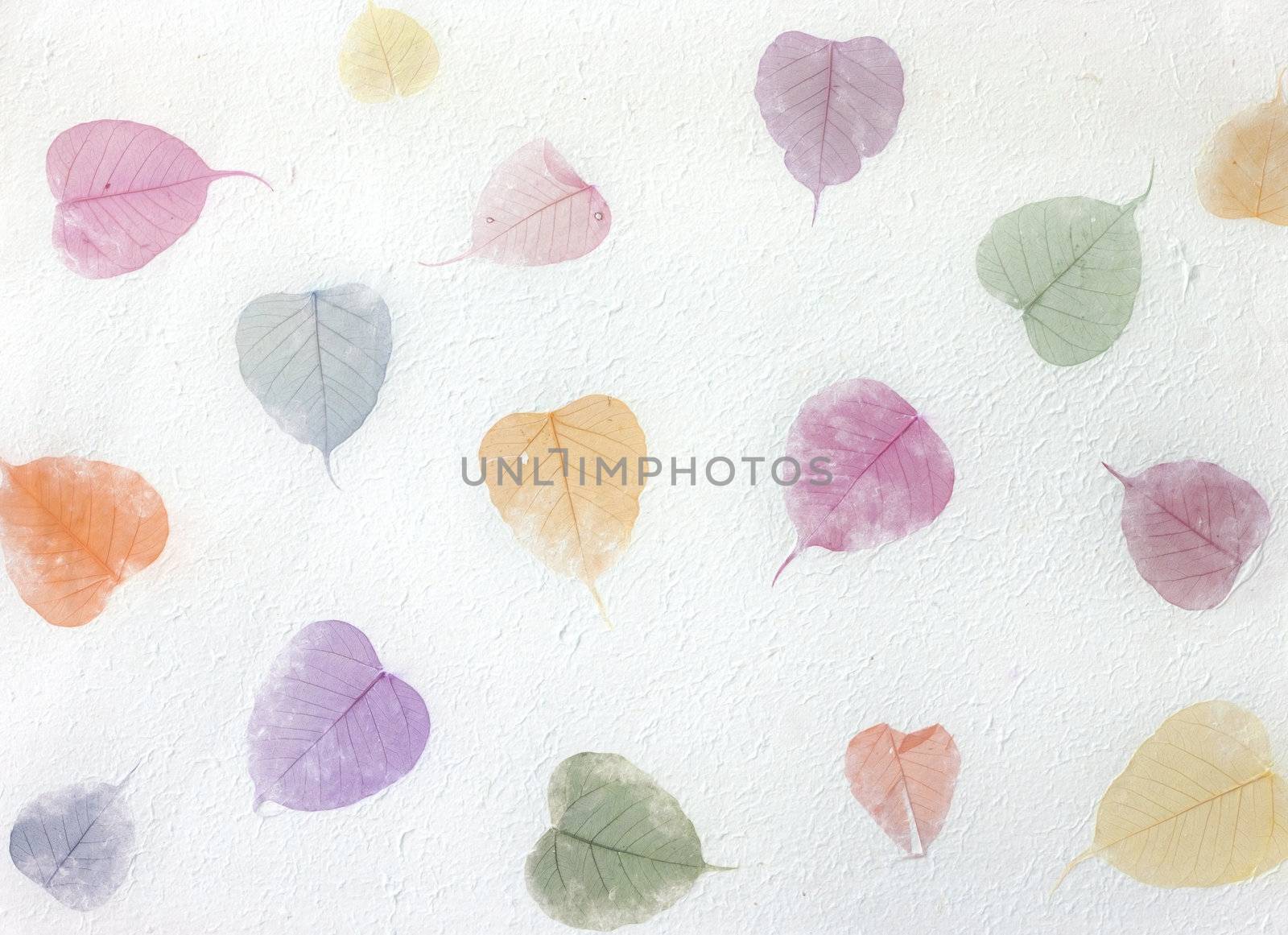 White Mulberry paper with tree leaves background.