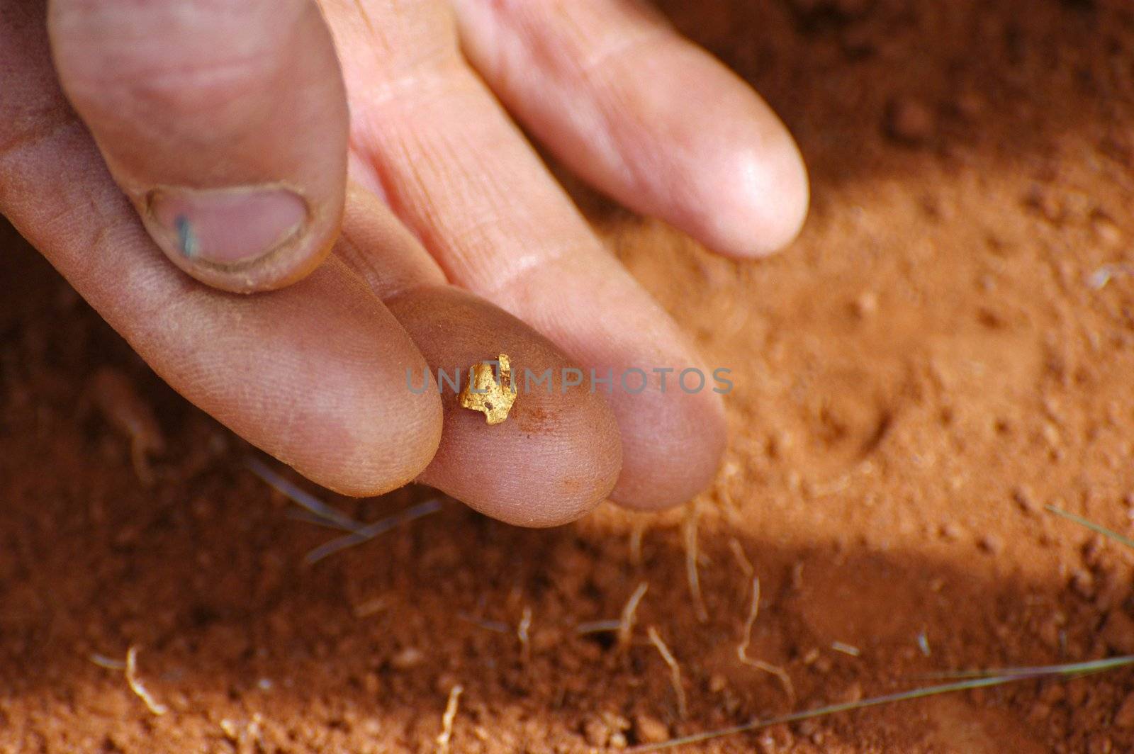 To find a gold nugget