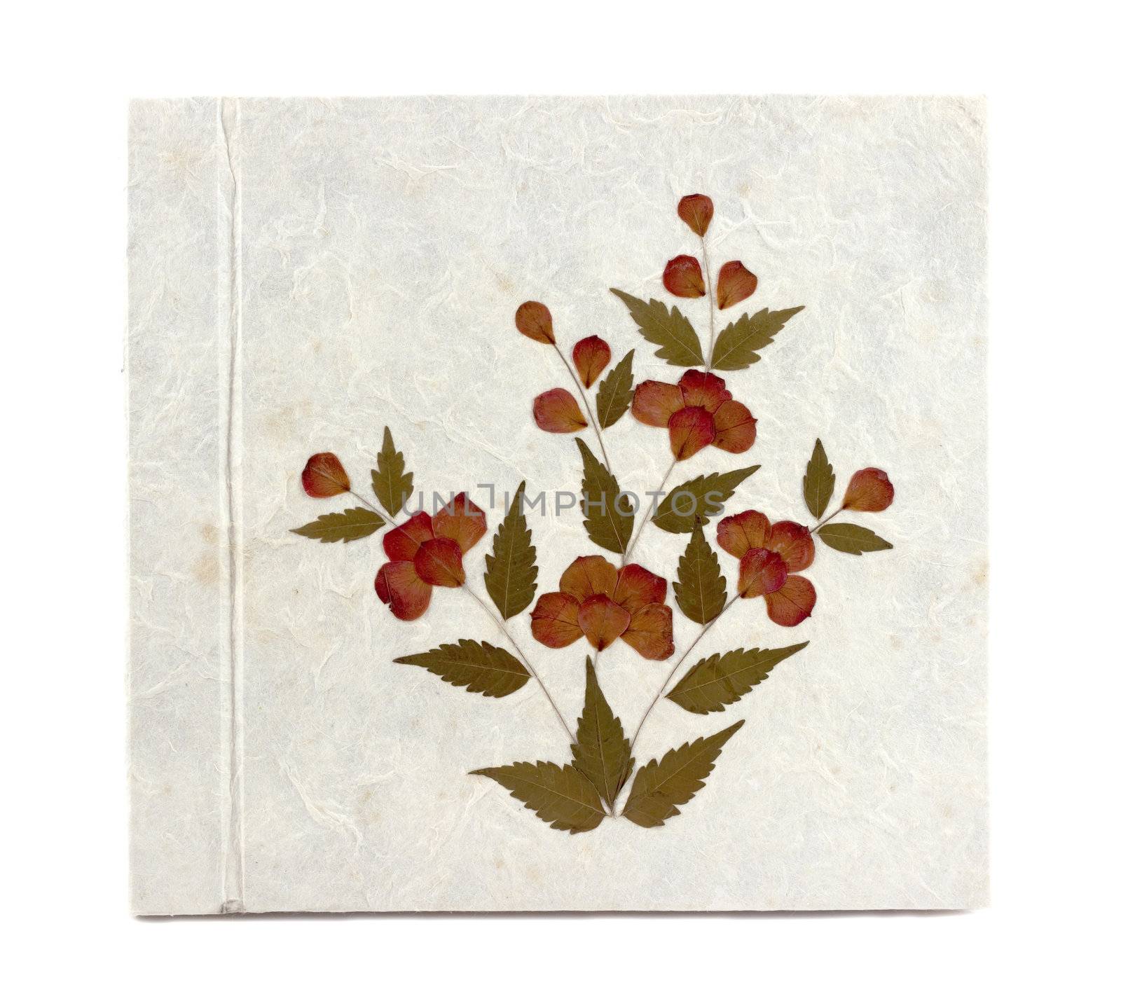 Old white Mulberry paper book, hand made.