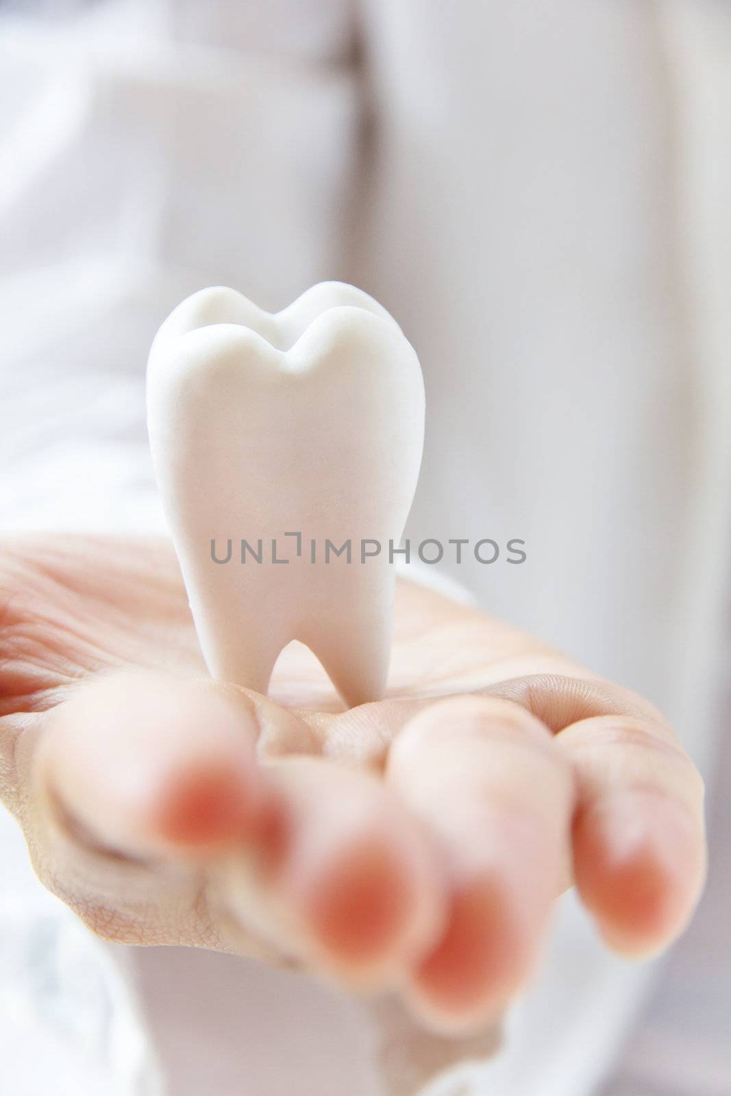 dentist holding molar by ponsulak