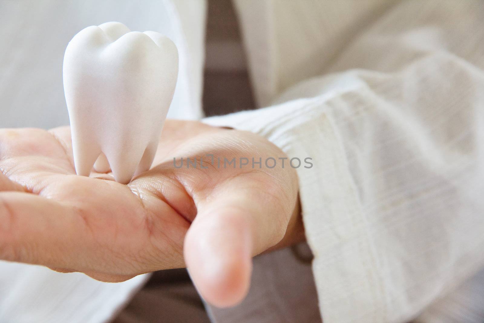 dentist holding molar,dental concept