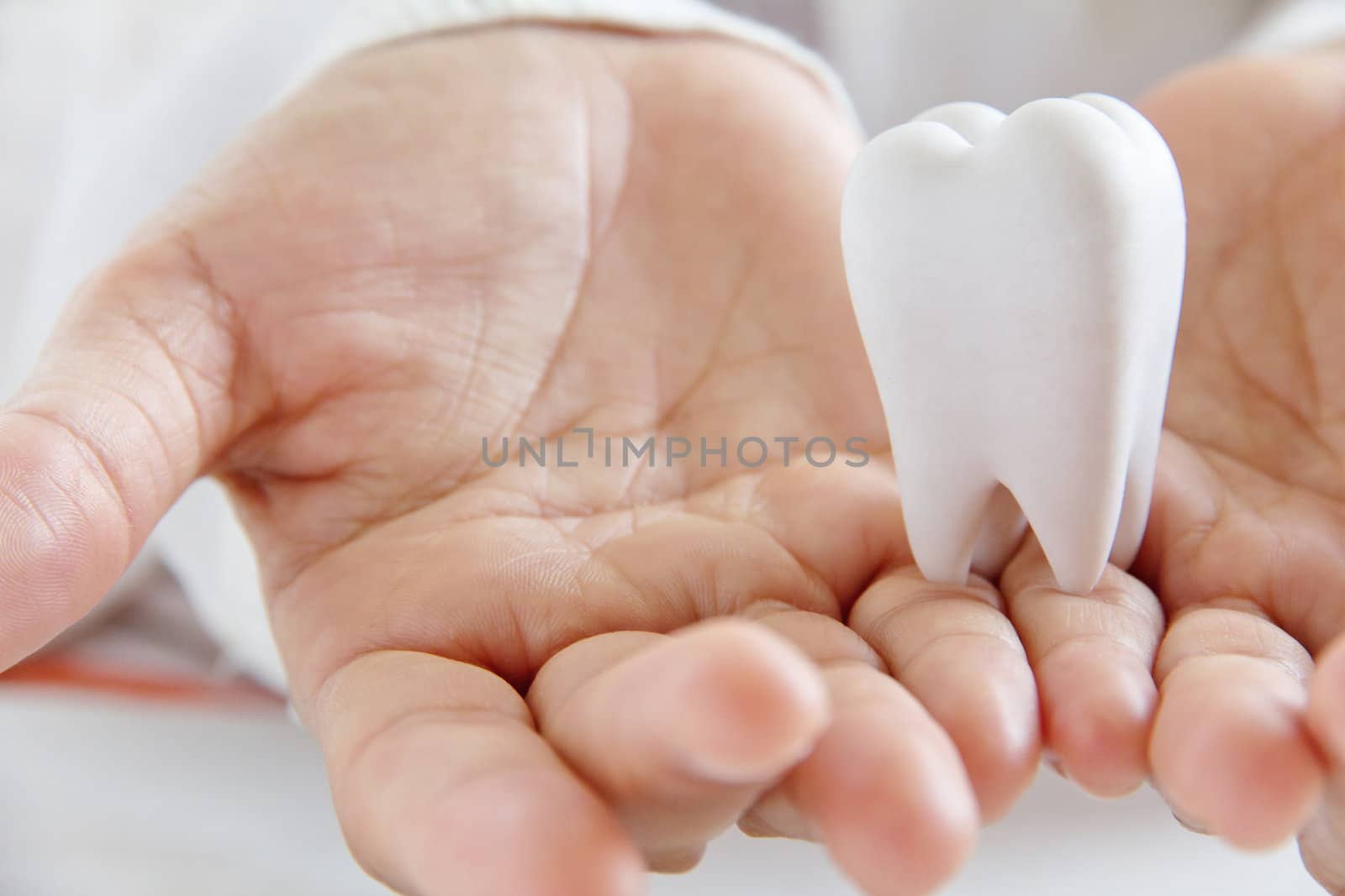 dentist holding molar,dental concept