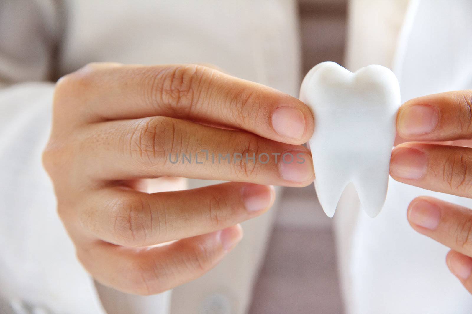 dentist holding molar,dental concept by ponsulak