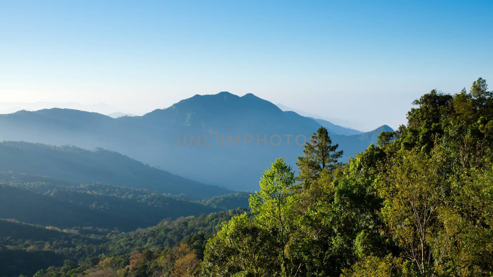 Blue tone Mountain landscape and Front green tree