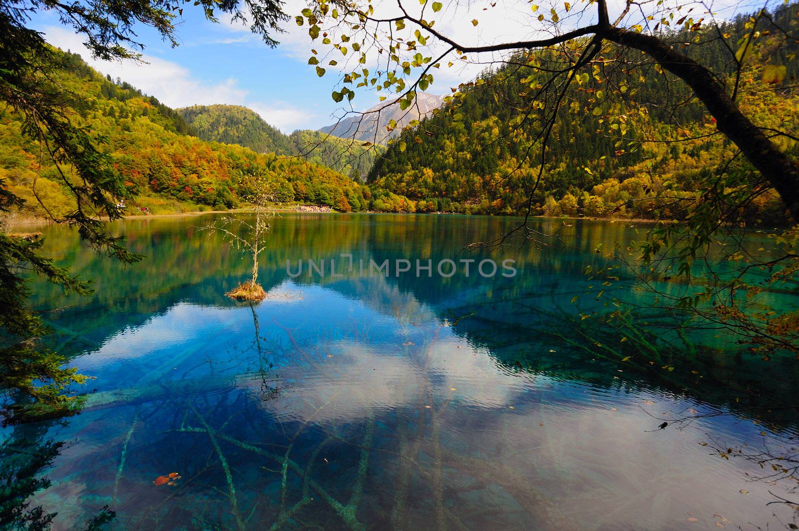 Forest and Lake in Jiuzhaigou, Sichuan province of China