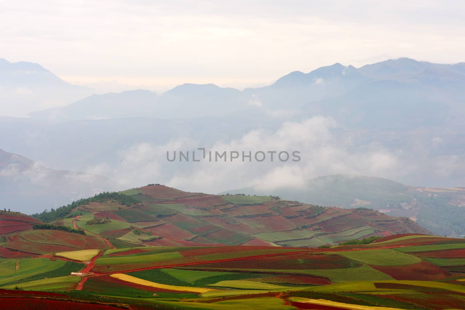 Fields landscapes by raywoo