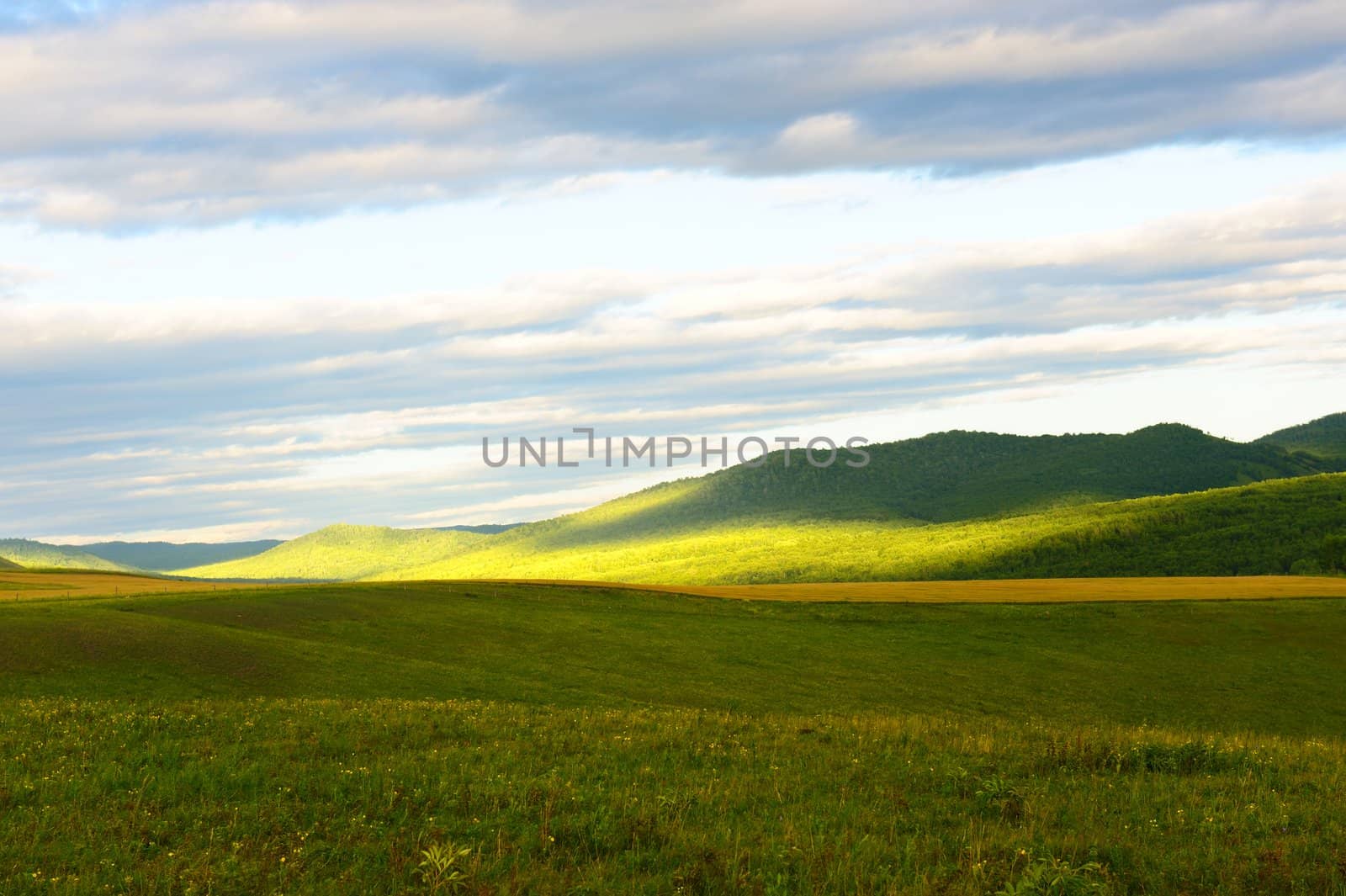 Grassland landscape by raywoo