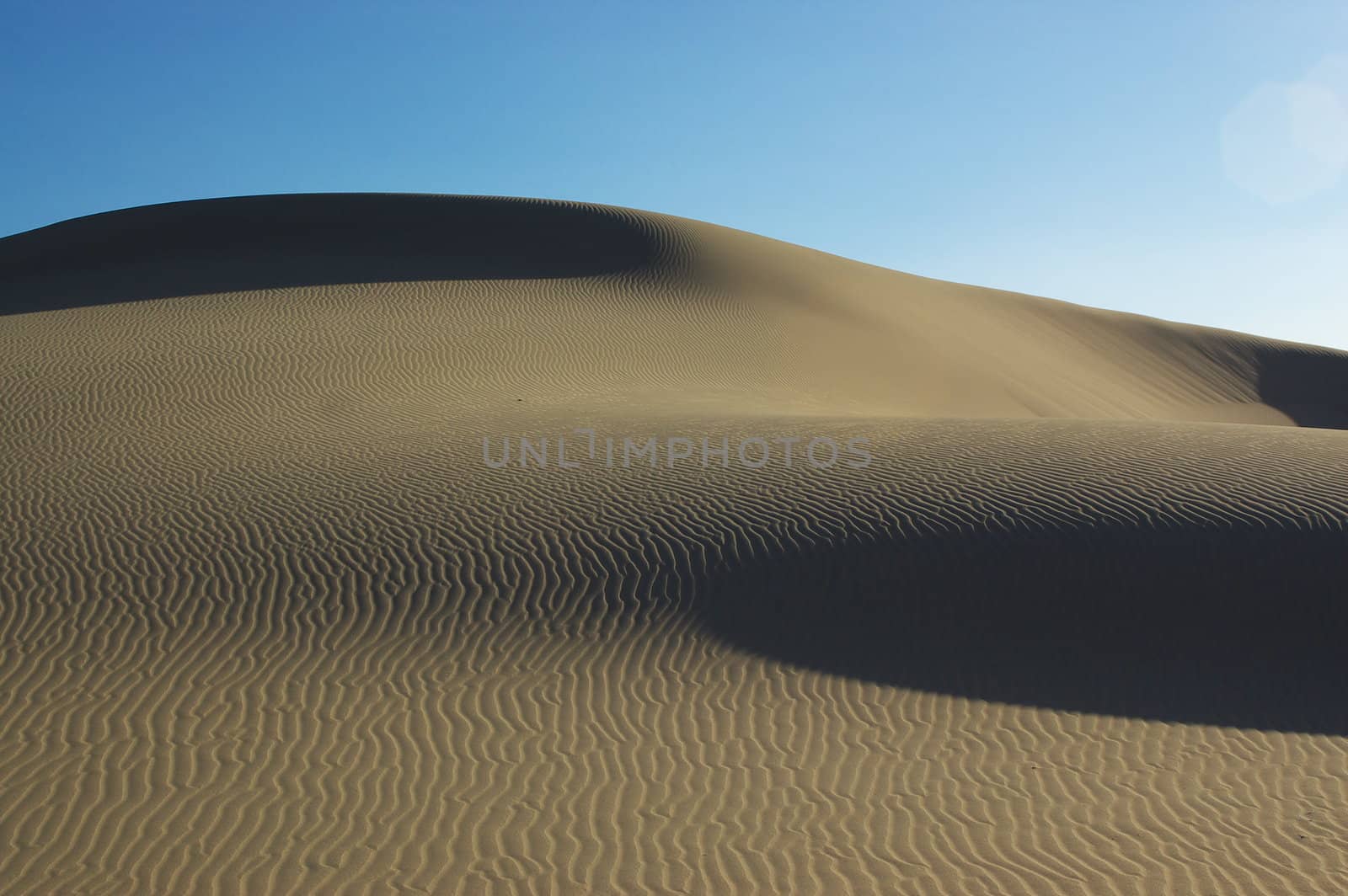 Desert landscape under blue sky