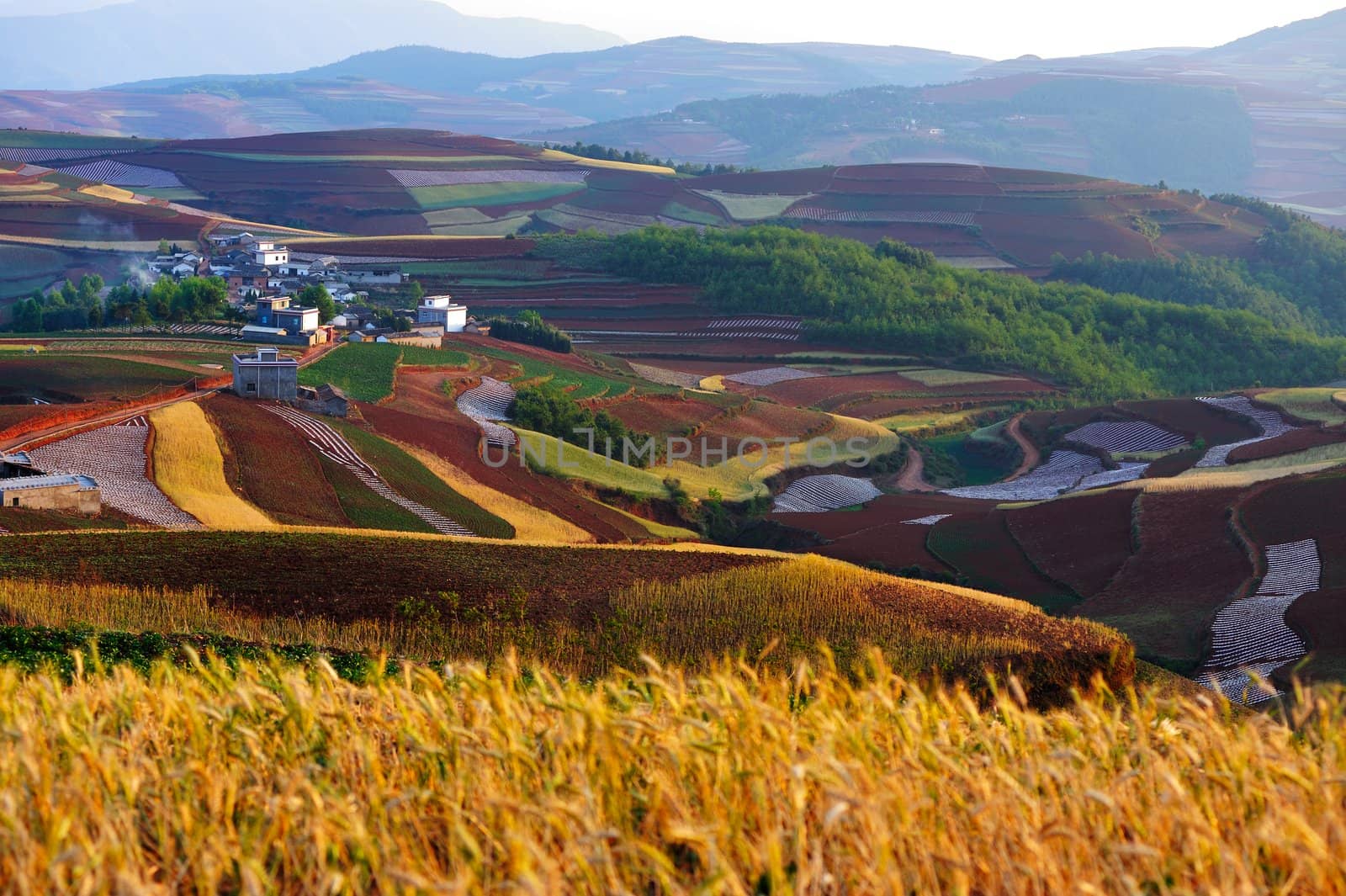 Village on colorful red land in Yunnan Province, southwest of China