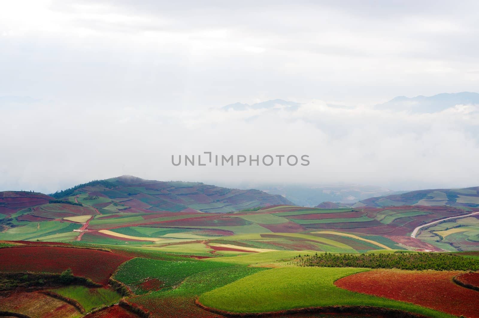 Field landscape in Yunnan Province, southwest of China