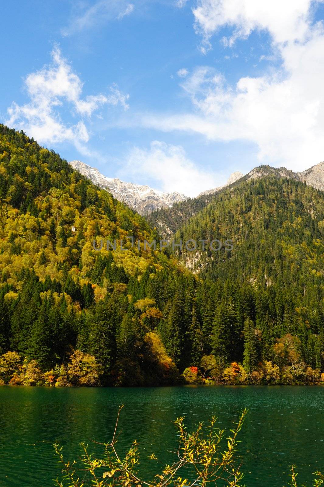 Forest and lake landscape of China jiuzhaigou by raywoo