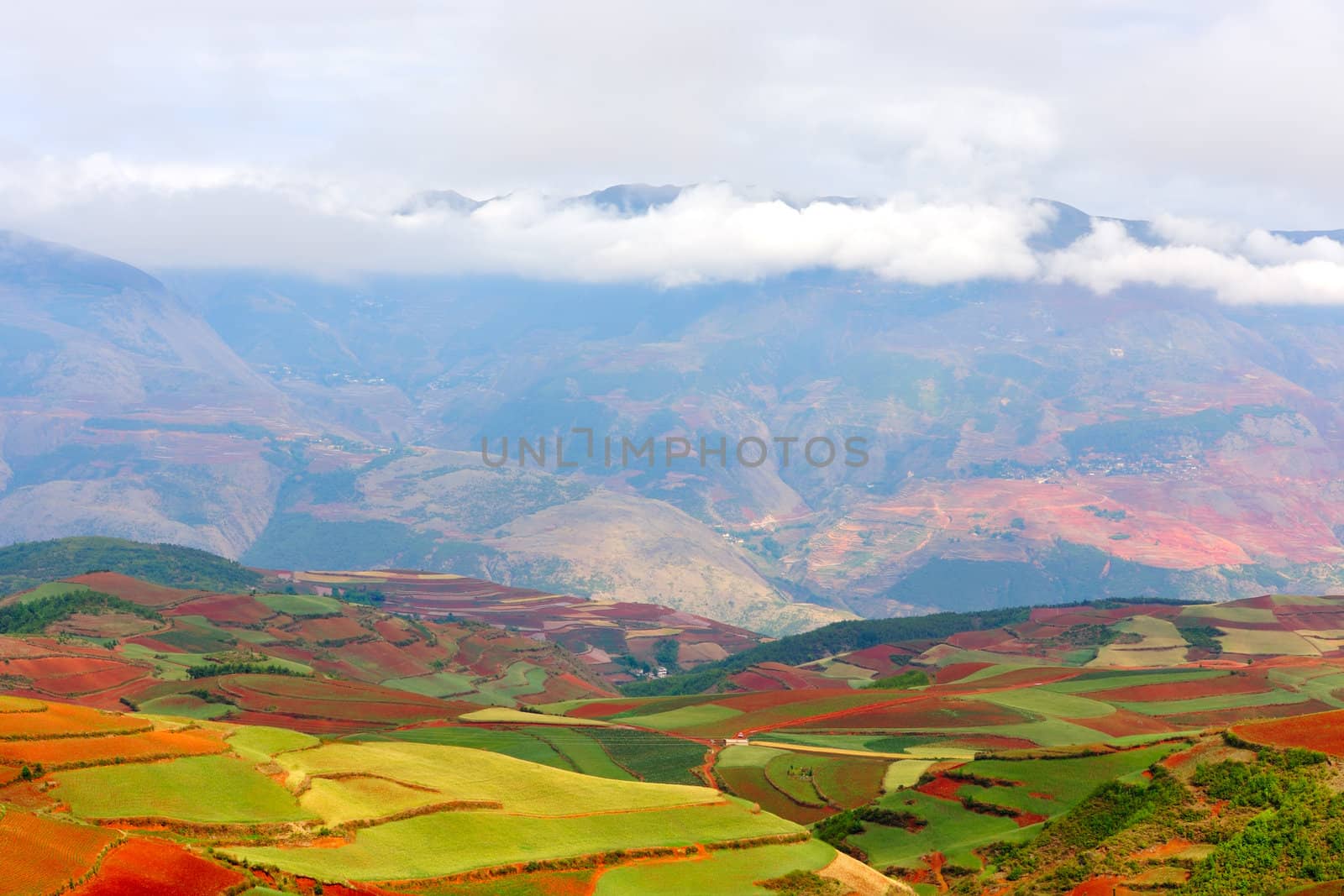 Red land in Yunnan Province, southwest of China