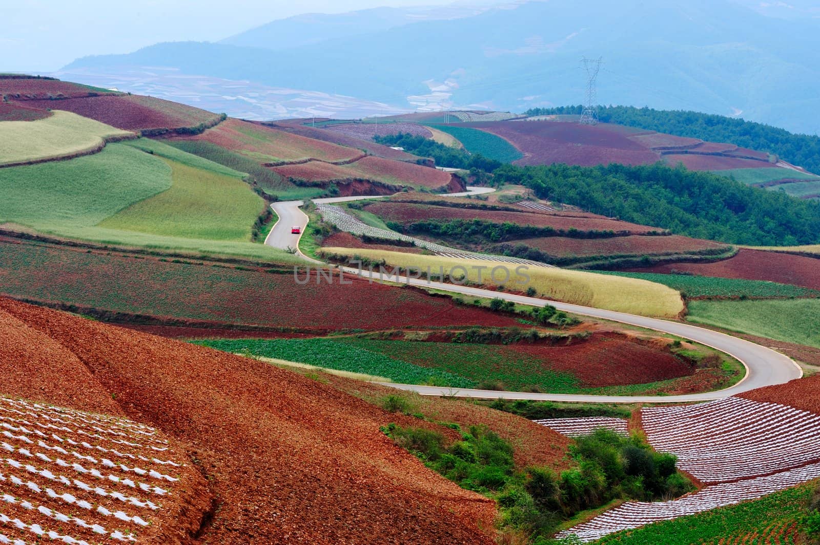 Field landscape of red land in Yunnan Province, China
