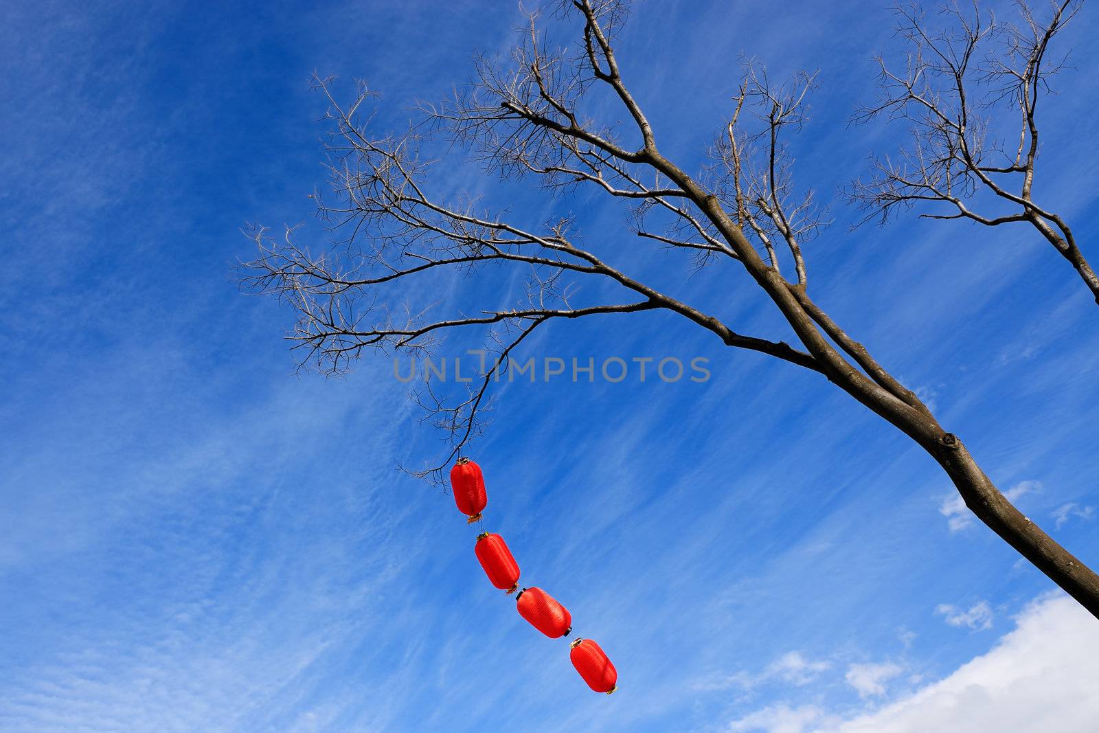 Chinese red lanterns by raywoo