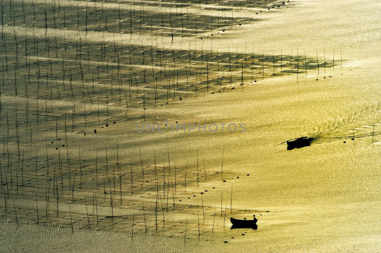 Seaweed farm against strong sunlight, photo taken in Fujian province of China