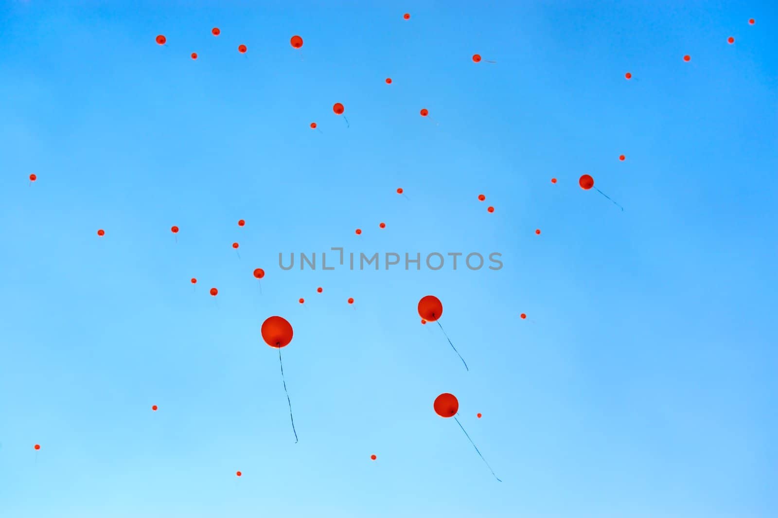Balloons Fly to the blue sky