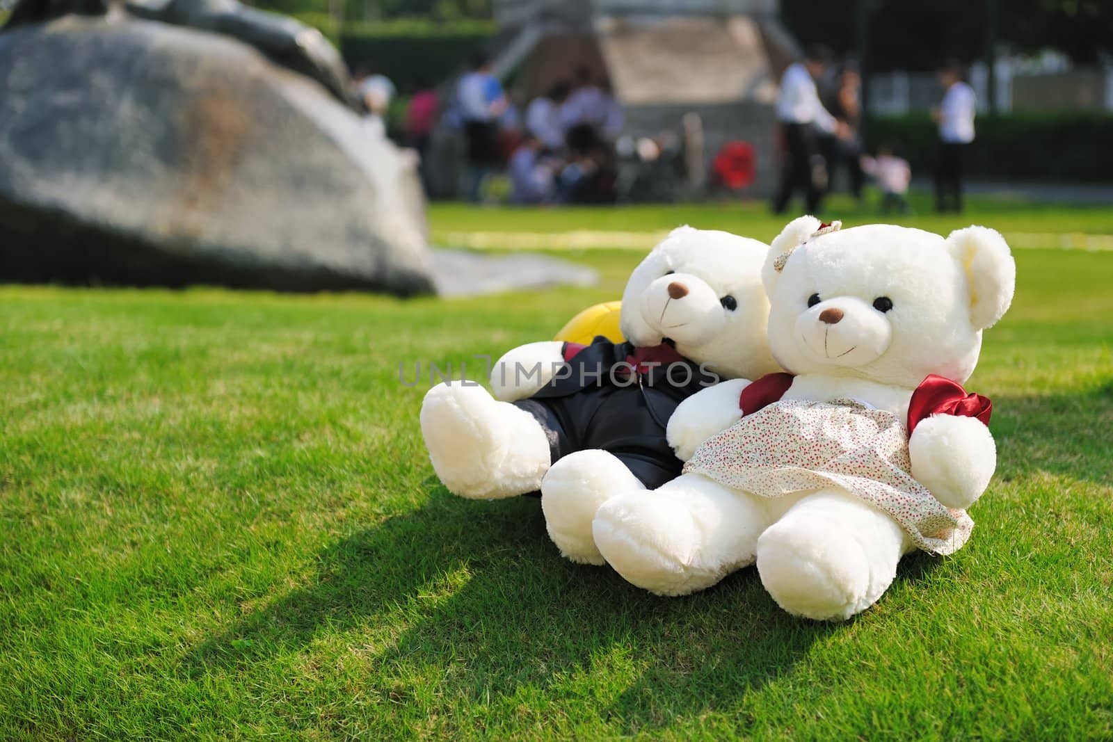 Two teddy bears lying on the lawn