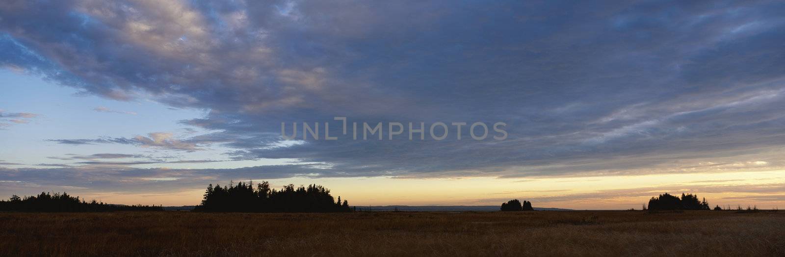 Panoramic landscape