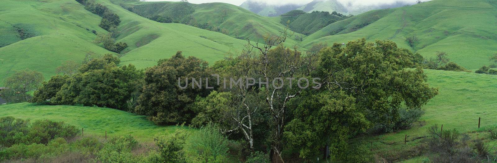 Panoramic landscape