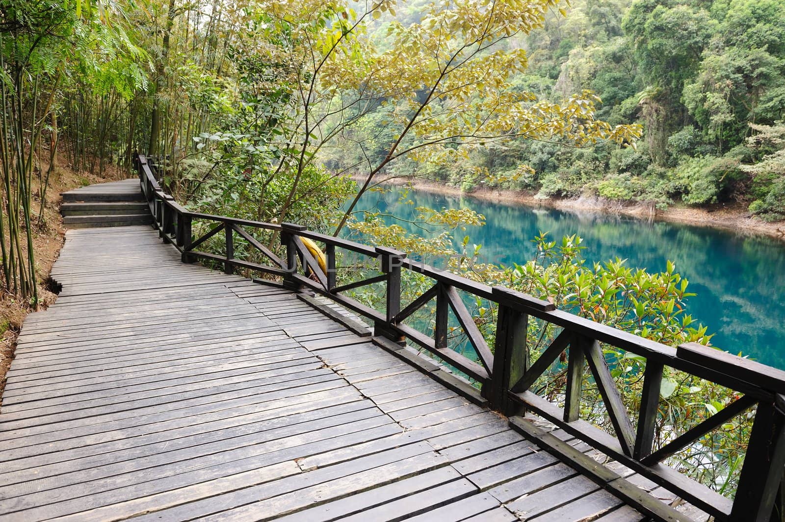 Wooden road in the forest park near the lake