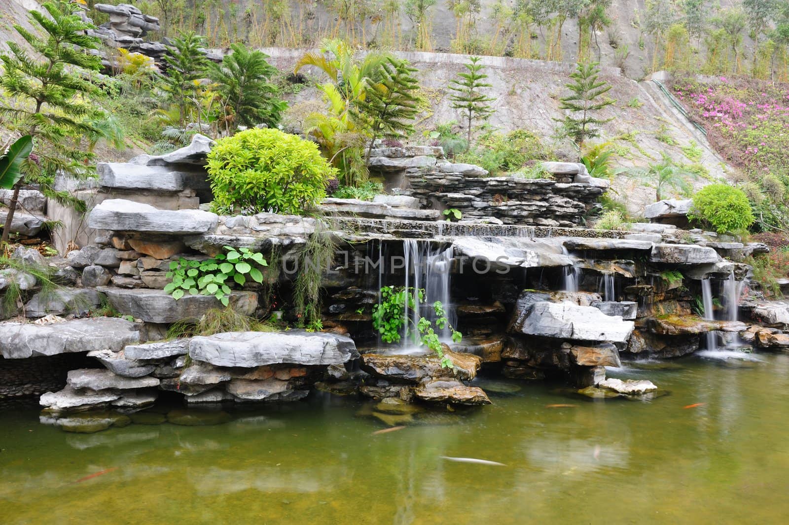 Chinese rockery garden with pond and waterfall