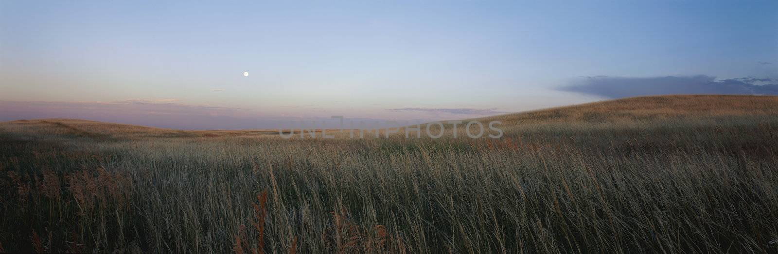 Panoramic landscape