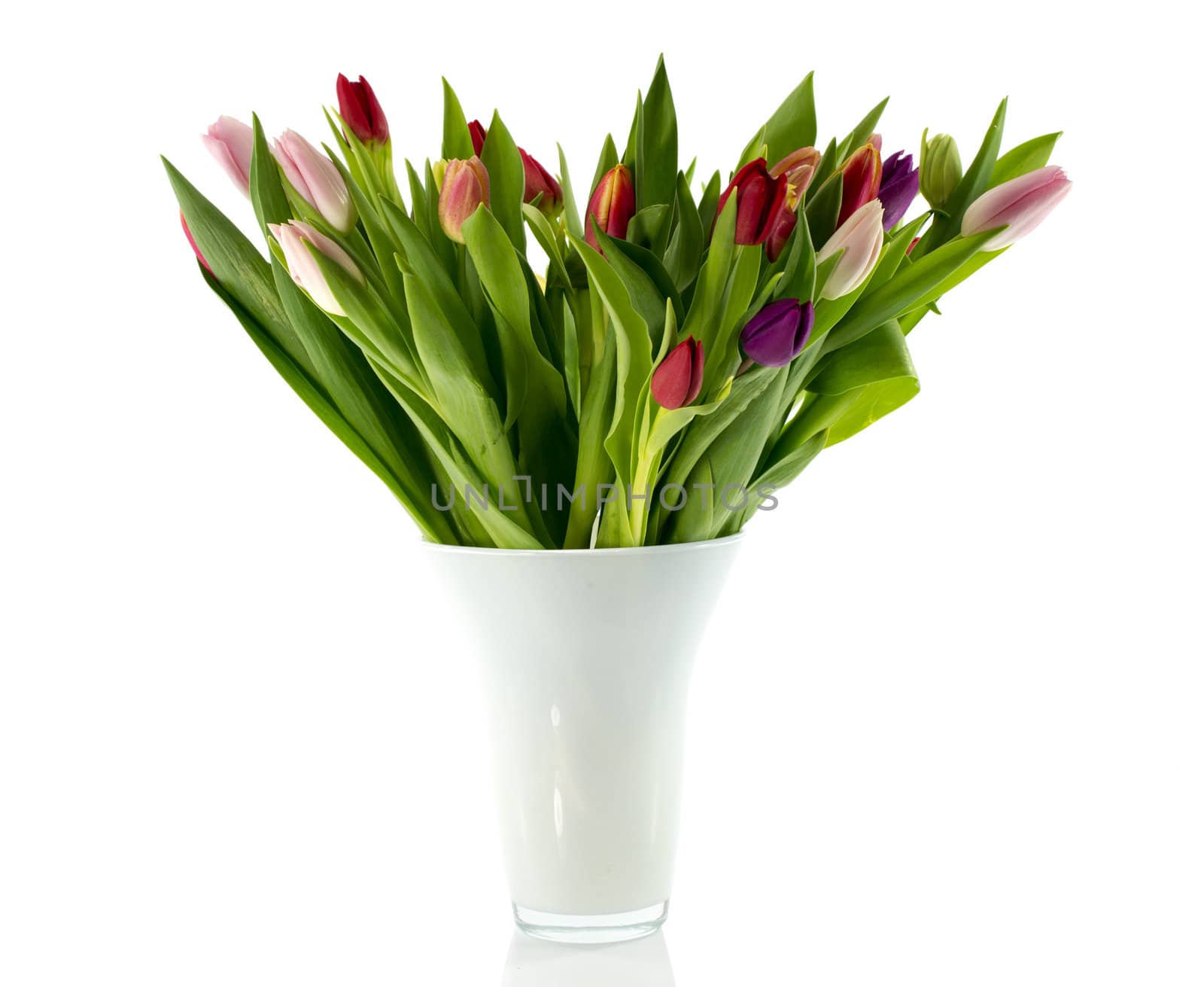bouquet of tulips in white vase isolated