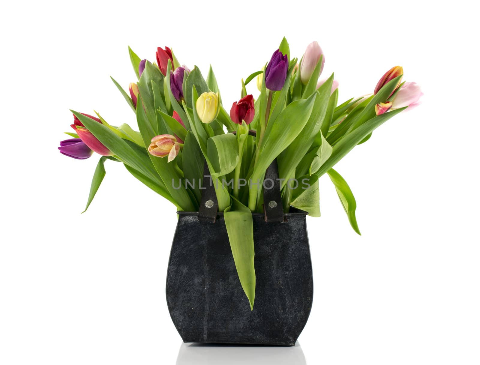 bouquet of tulips in metal shopping bag