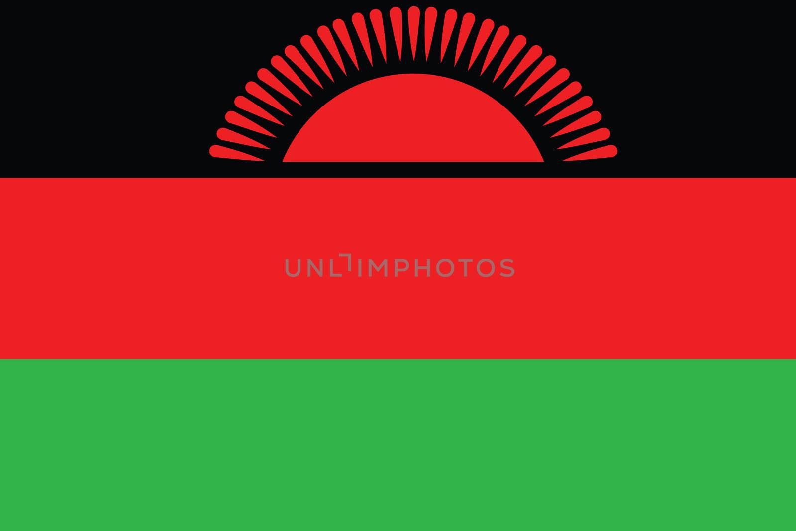 An Illustrated Drawing of the flag of Malawi